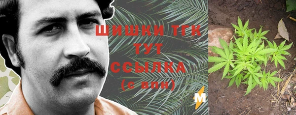 амф Алексеевка
