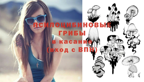 а пвп мука Алзамай