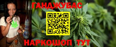 шишки Кинель