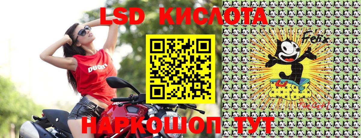 Наркотические марки 1500мкг  Вход с VPN  Лесной 