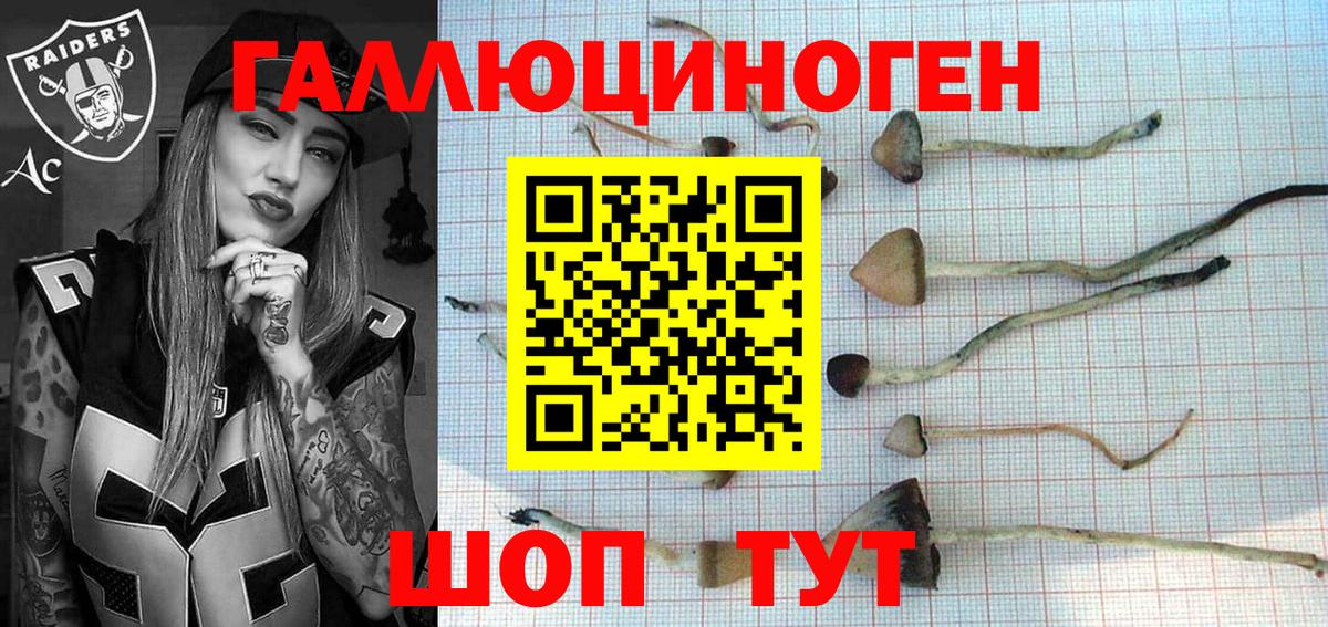 Галлюциногенные грибы мухоморы  Вход с VPN  Лесной 