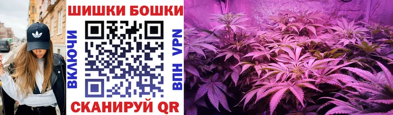 Канабис семена  hydra ТОР  Лесной  наркотики 