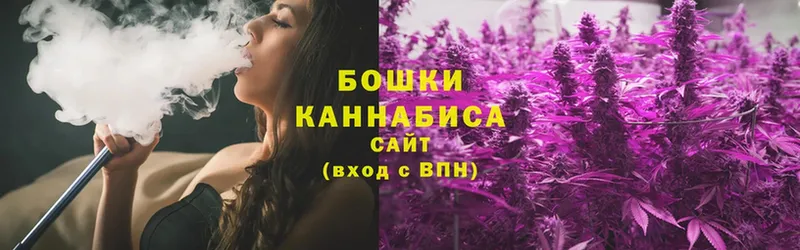 Бошки марихуана Amnesia  сколько стоит  Лесной 